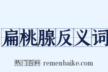 扁桃腺反义词是什么意思的图片